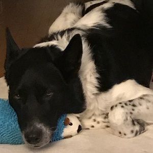 Meet your Posher, Ewa